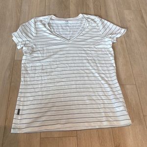 Icebreaker Merino T-shirt Large